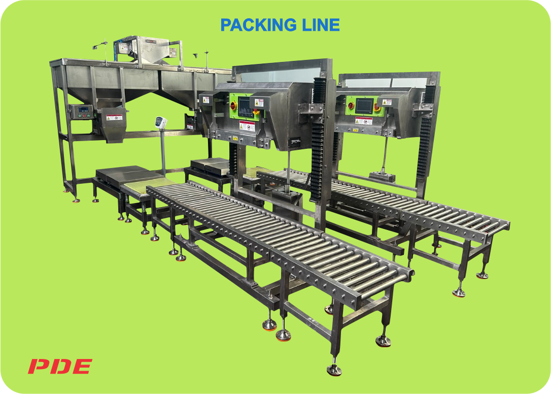 EDIBLE NUT PACKING LINE